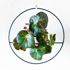 portamacetas diseño para macetas colgantes decoracion de interiores con plantas